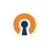 OpenVPN