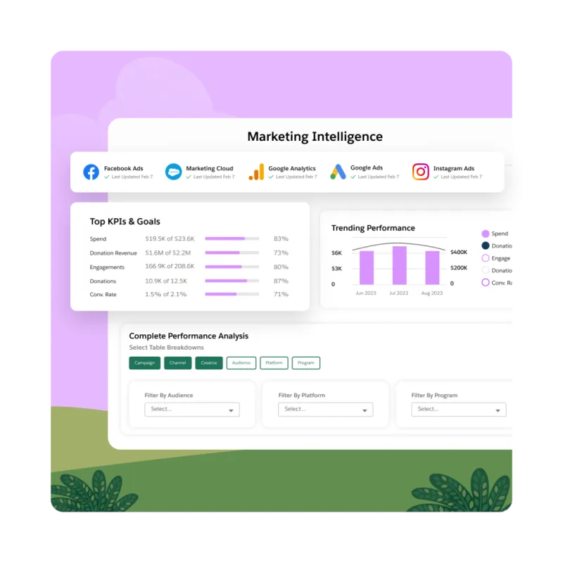 Salesforce para ONG