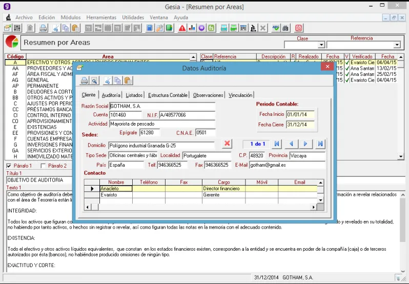 Gesia Software Auditoría