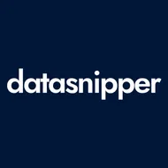 DataSnipper logotipo
