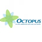 Octopus Soporte TI logotipo